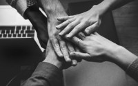 SEO黑帽，揭秘其含义、手法与影响