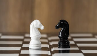 黑帽SEO如何赚钱，深度解析与策略探讨