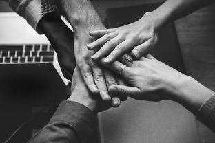 SEO黑帽，揭秘其含义、手法与影响